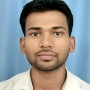 Sushil Prajapati-Freelancer in Lucknow,India