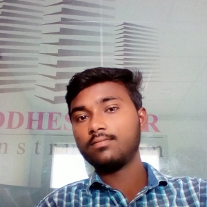 Dnyaneshwar Naikbhau-Freelancer in Pune,India