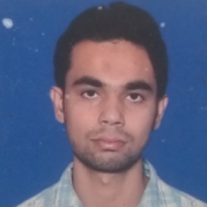 Mohd Danish Nafees-Freelancer in New Delhi,India