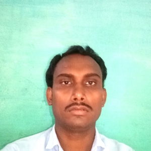 Navneet Patel-Freelancer in Manendragarh,India