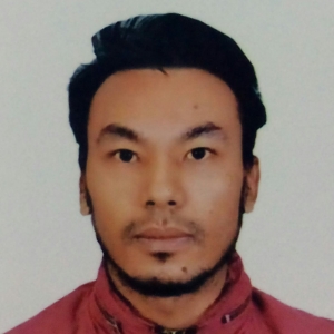 Rabin Krishna Shrestha-Freelancer in Kathmandu,Nepal