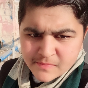 Naushad Ullah-Freelancer in Peshawar,Pakistan