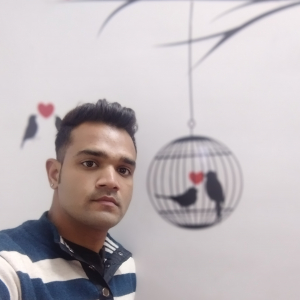 Vishal Vaishnav-Freelancer in Jaipur,India