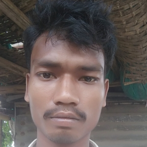 Sambhuhansda -Freelancer in Balasore,India