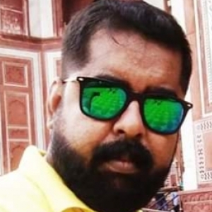 Raja Banerjee-Freelancer in Madhyamgram,India