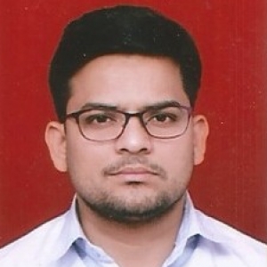 Ravi Chauhan-Freelancer in Ghaziabad,India