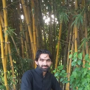 Muhammad Bilal-Freelancer in Peshawar,Pakistan