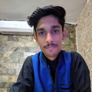 Kunal Kumar-Freelancer in ,India