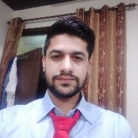 Nitin Vashishat-Freelancer in ,India