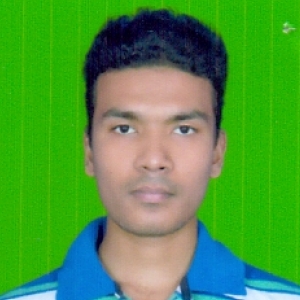 Binod Mahananda-Freelancer in ,India