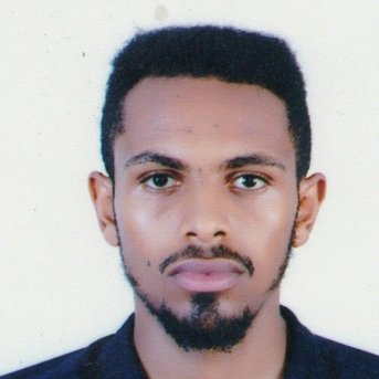 Biniyam Musema-Freelancer in ,Ethiopia