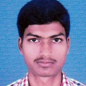 Computer Teacher Biswajit Dhali-Freelancer in Durgapur,India