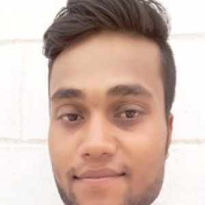 Nirmal Kumar Bhadouriya-Freelancer in NOWGONG CHHATARPUR MADHYA PRADESH,India