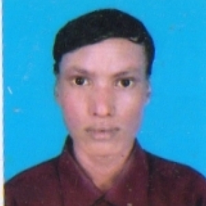 Siddhartha Sahoo-Freelancer in Krishnanagar,India