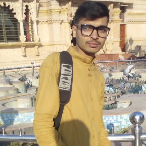 Vitthal Kumar Yadav-Freelancer in barodiya banswara,India
