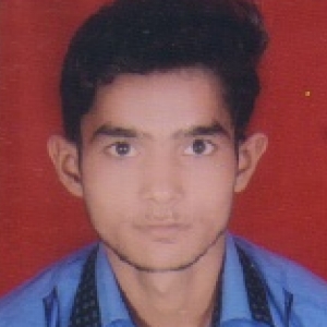 Pankaj Kumar-Freelancer in Sikandrabad,India