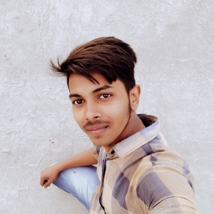 Mz Ansari-Freelancer in Bihar Sharif,India