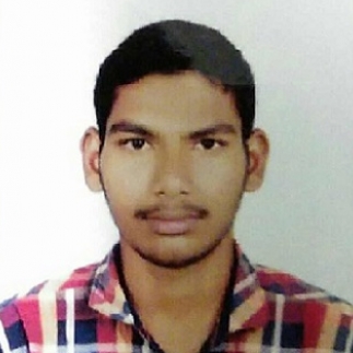 Vikram Kumar-Freelancer in Hyderabad,India