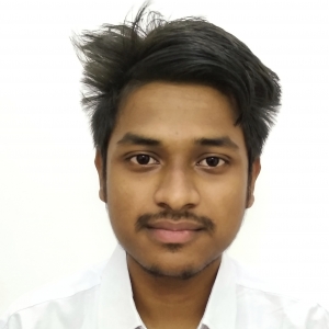 Mrinmoy Das-Freelancer in ,India