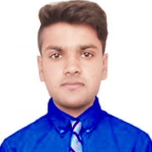 Birendra Kumar Yadav-Freelancer in GIRIDIH,JHARKHAND,India