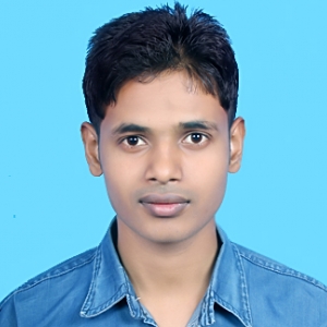 Rizwan Ahmad-Freelancer in ,India