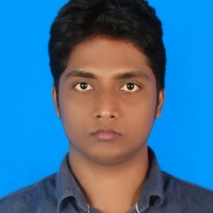 Manas Kumar Sahu-Freelancer in Odisha,India