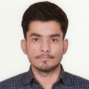 Aditya Bhardwaj-Freelancer in Delhi,India