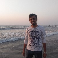 Ankit Dadhich-Freelancer in Sikar,India