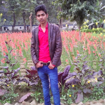 Amit Verma-Freelancer in Lucknow,India