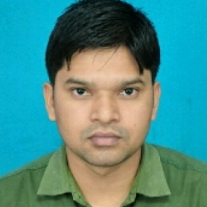 Rahul Choudhary-Freelancer in Kolkata,India