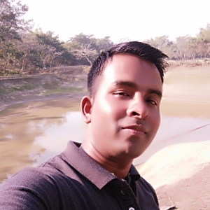 Bimal Talukdar-Freelancer in Guwahati,India