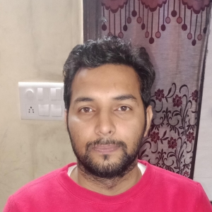 Hemant Chauhan-Freelancer in New Delhi,India