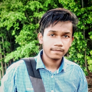 Pruthviraj Prarhan-Freelancer in Phulbani,India