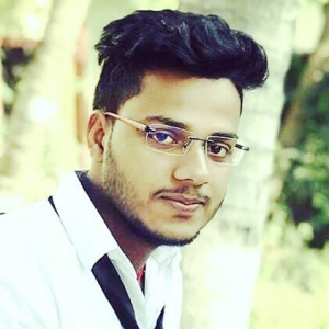 Ravi Ranjan-Freelancer in Muzaffarpur,India