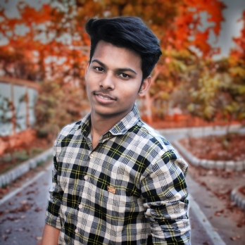 Akash Raval-Freelancer in Patan, Gujarat,India