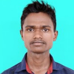 Raisen Hembram-Freelancer in Darbhanga,India
