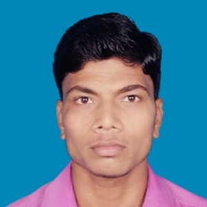 Rahul Kumar-Freelancer in purnea,India
