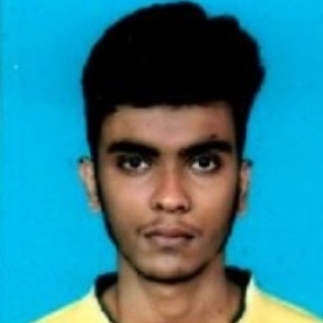 Bhairab Paul-Freelancer in ,India