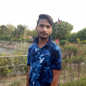 Ravi Kumar-Freelancer in New Delhi,India