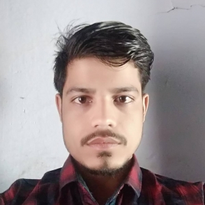 Ravi Panoriya-Freelancer in basai,India