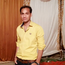Harsh Singh-Freelancer in Faridabad,India