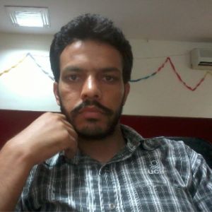 Ajay Kumar-Freelancer in Dinanagar,India