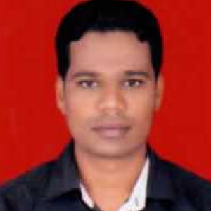 Pramod Purjekar-Freelancer in Nagpur,India