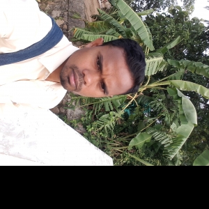 Chandra Sekhar-Freelancer in RAYGADA,India