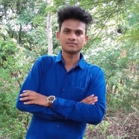 Suresh Sisodiya-Freelancer in ,India