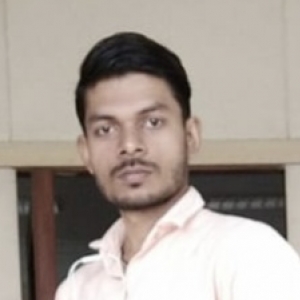 Raju Bind-Freelancer in Ahmedabad,India