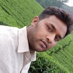 Akshay Thakre-Freelancer in ,India