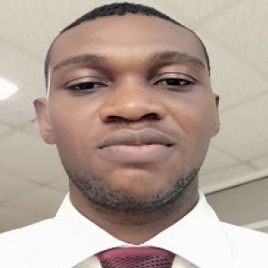 Oladimeji Okunribido-Freelancer in Abuja,Nigeria