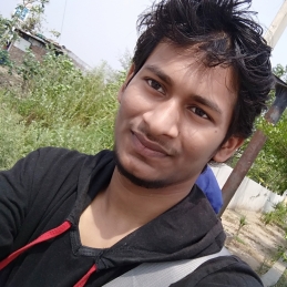Abhay Kumar Pandit-Freelancer in Mohali,India
