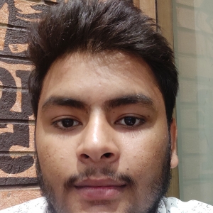Awanish Bajpai-Freelancer in ,India